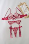 cabaret-lace-panty-set-in-red-100118134-2-lapop-1